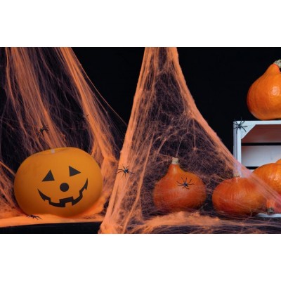 Voratinklio tinklas oranžinis Voratinklio tinklas oranžinis